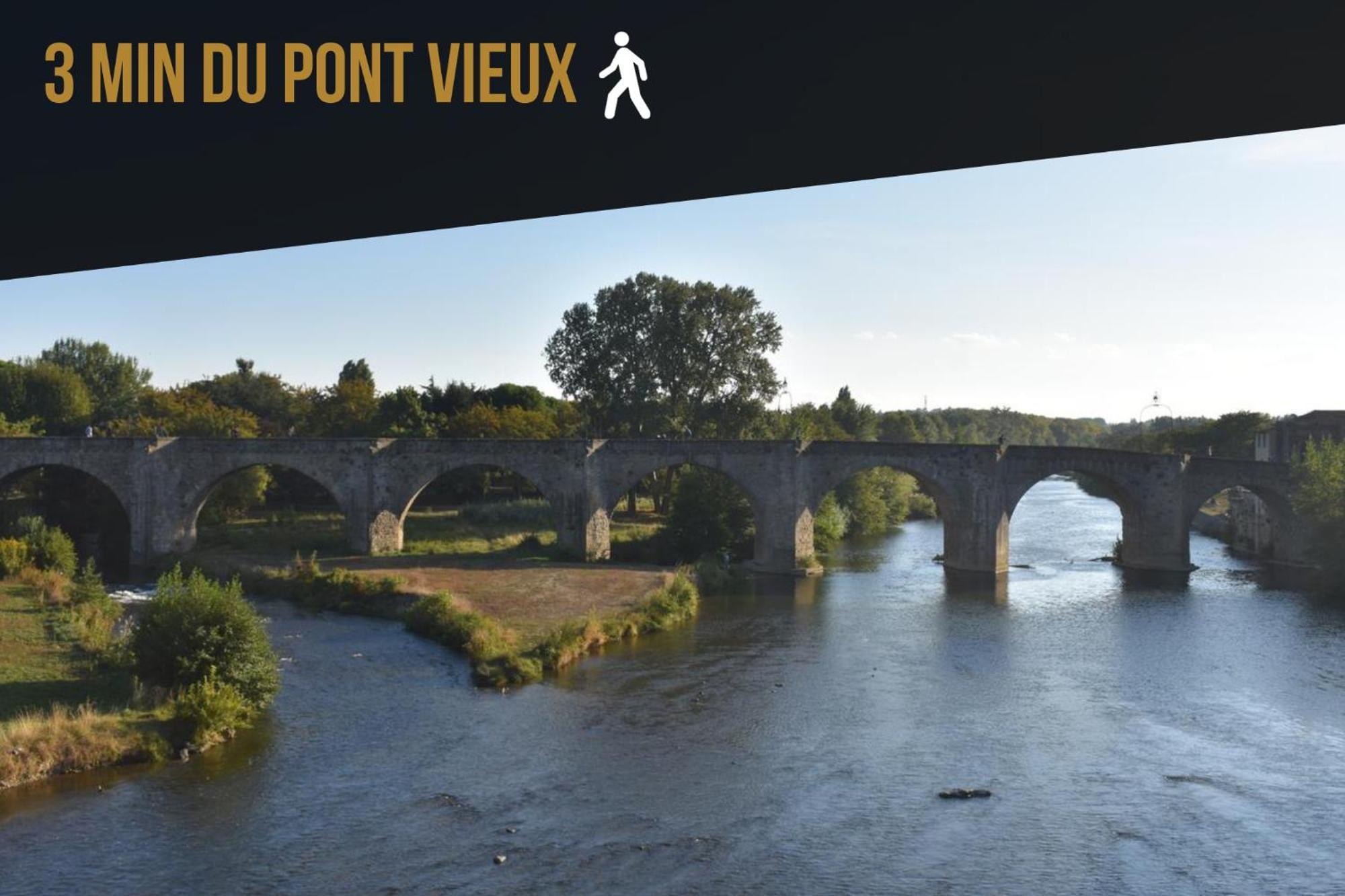 Les Gites De Laure - L'Or Vert, Appartement Avec Vue Sur Le Chateau, Parking Prive, Climatisation, Netflix, A 160 M De La Cite Medievale Carcassonne Bagian luar foto