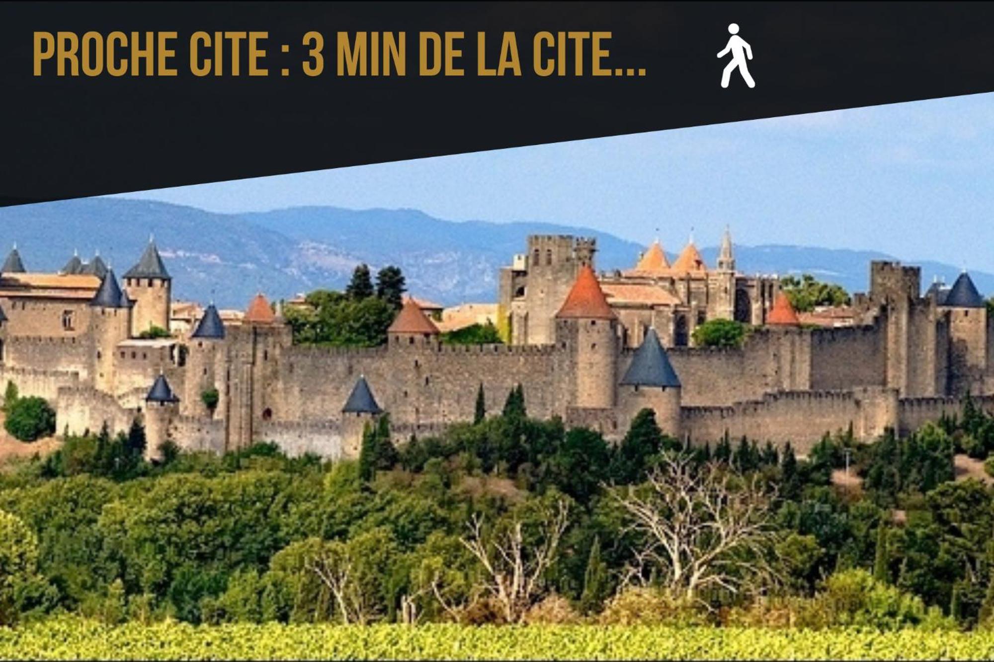 Les Gites De Laure - L'Or Vert, Appartement Avec Vue Sur Le Chateau, Parking Prive, Climatisation, Netflix, A 160 M De La Cite Medievale Carcassonne Bagian luar foto